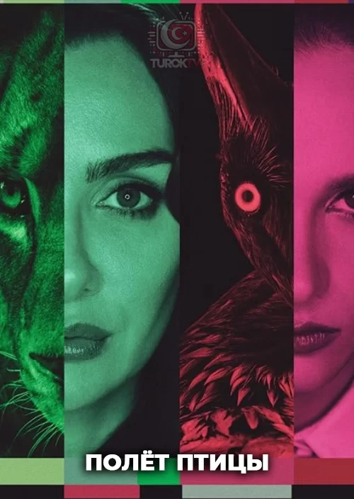 Полёт птицы