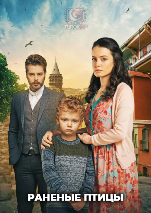 Раненые птицы