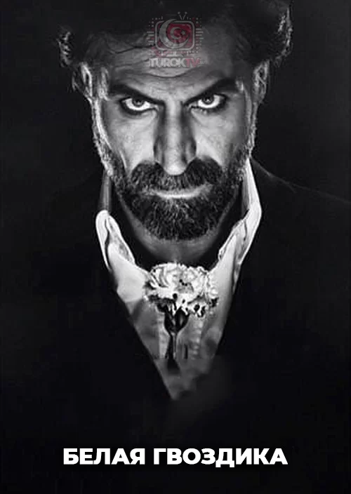 Белая гвоздика