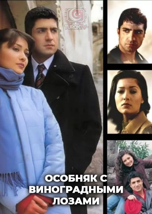 Особняк с виноградными лозами